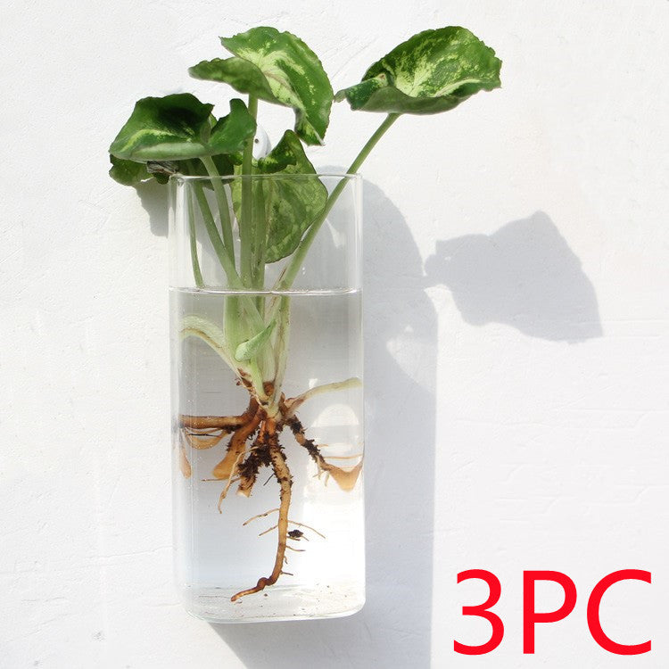 Fashion Wall Hanging Glass Flower Vase